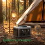 Station d'Énergie Portable 299Wh 600W