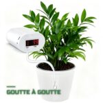 Arrosage Automatique Goutte-à-Goutte