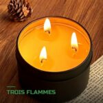 Bougie de Survie 36h Cire d'Abeille 3 Mèches