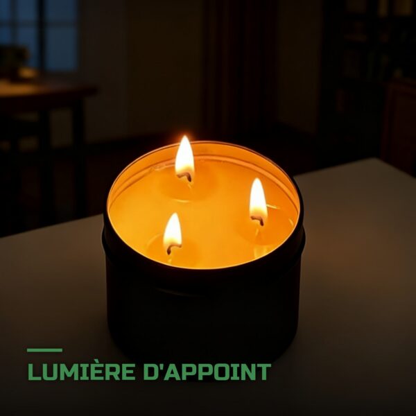 Bougie de Survie 36h Cire d'Abeille 3 Mèches