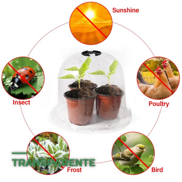 Cloches de Protection pour Plantes