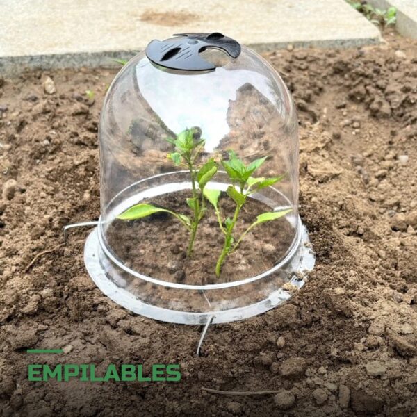 Cloches de Protection pour Plantes
