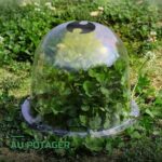 Cloches de Protection pour Plantes