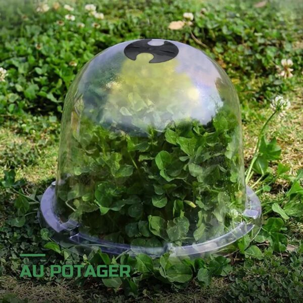 Cloches de Protection pour Plantes