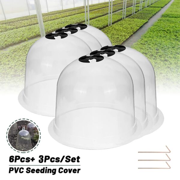 Cloches de Protection pour Plantes