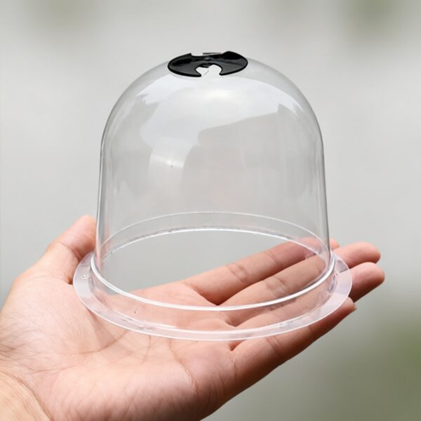 Cloches de Protection pour Plantes
