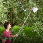 Cueille-Fruits Télescopique avec Perche et Panier de Récolte