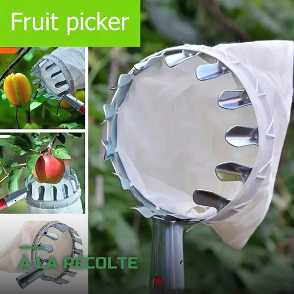 Cueille-Fruits Télescopique avec Perche et Panier de Récolte