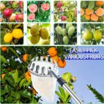 Cueille-Fruits Télescopique avec Perche et Panier de Récolte