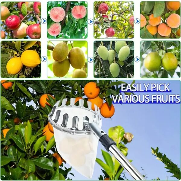 Cueille-Fruits Télescopique avec Perche et Panier de Récolte