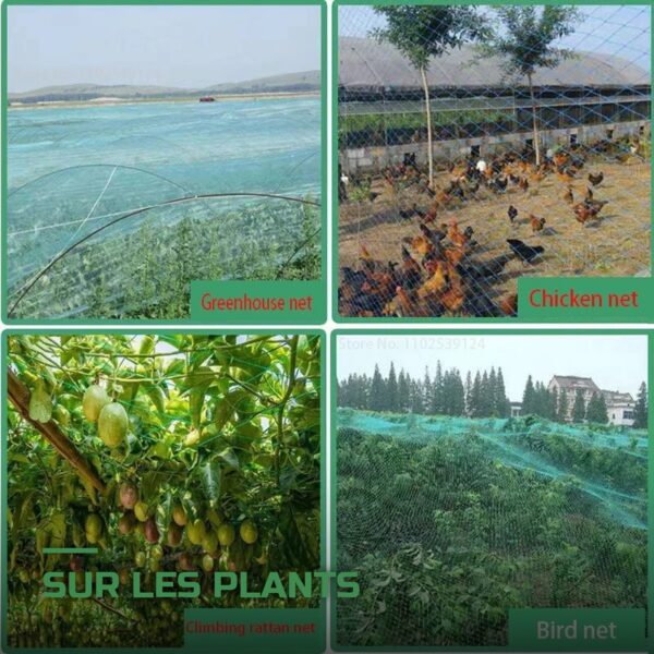 Filet de Protection Anti-Insectes et Anti-Grêle pour Potager