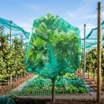 Filet de Protection Anti-Insectes et Anti-Grêle pour Potager
