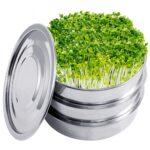 Germoir à Graines Germées en Inox à 3 Étages pour Micro-Légumes