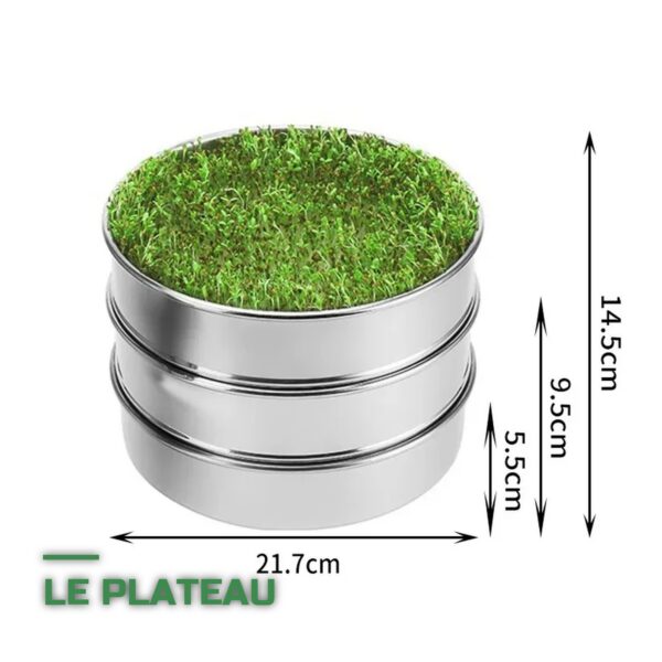 Germoir à Graines Germées en Inox à 3 Étages pour Micro-Légumes