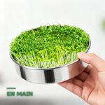 Germoir à Graines Germées en Inox à 3 Étages pour Micro-Légumes