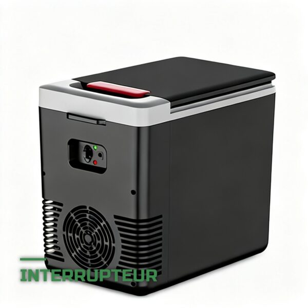 Glacière Électrique 12V et 220V 10L Froid et Chaud Portable