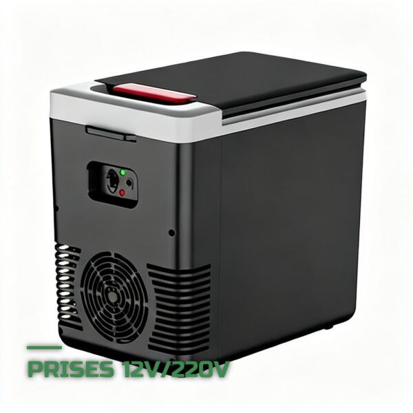 Glacière Électrique 12V et 220V 10L Froid et Chaud Portable