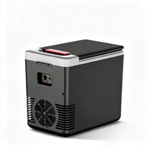 Glacière Électrique 12V et 220V 10L Froid et Chaud Portable