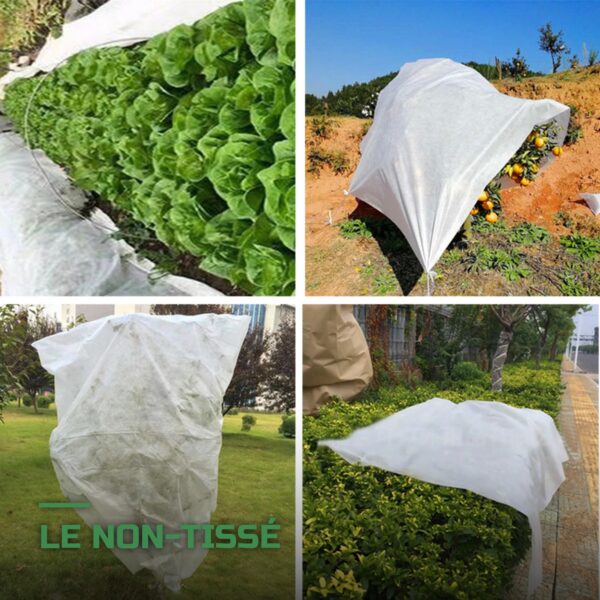 Housses d'Hivernage pour Plantes