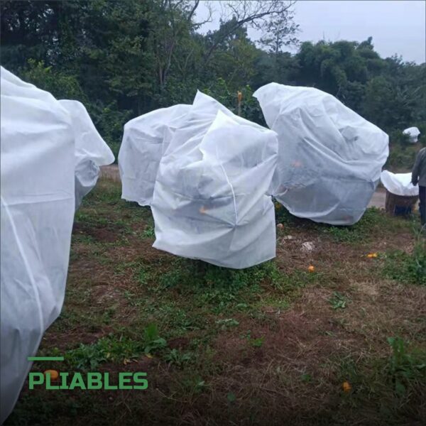 Housses d'Hivernage pour Plantes