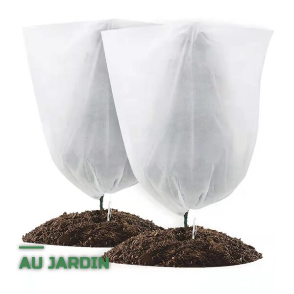 Housses d'Hivernage pour Plantes
