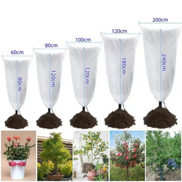 Housses d'Hivernage pour Plantes