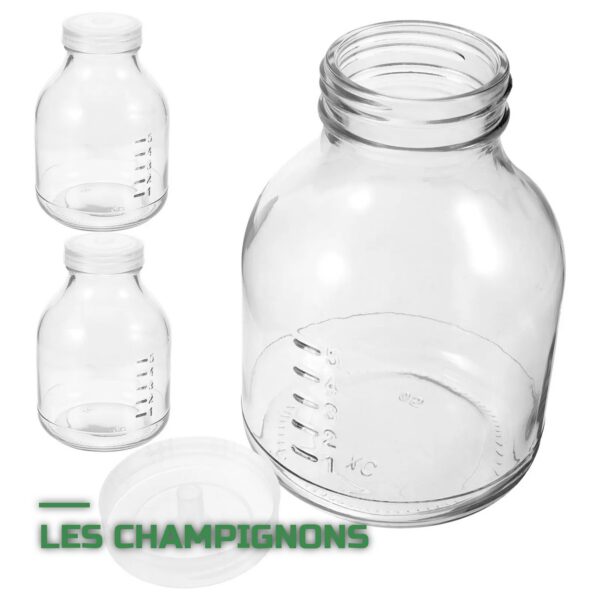 Kit de Culture de Champignons