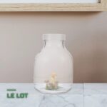 Kit de Culture de Champignons