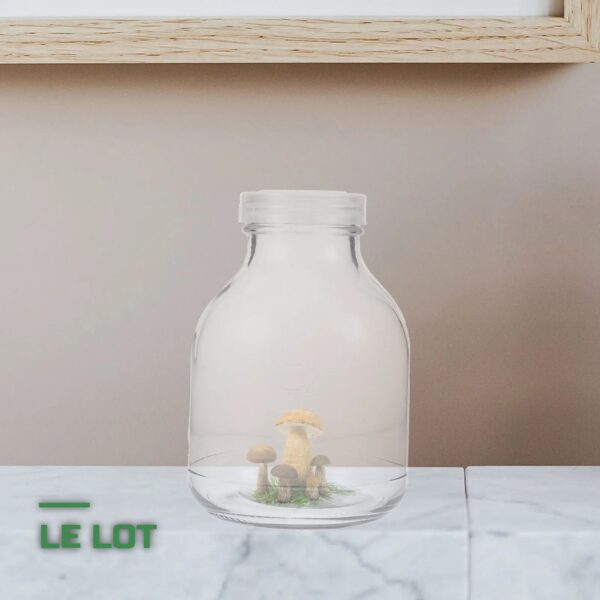 Kit de Culture de Champignons