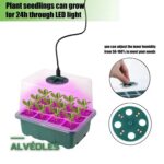 Kit de Germination Mini-Serre avec Dôme et Plateau de Semis