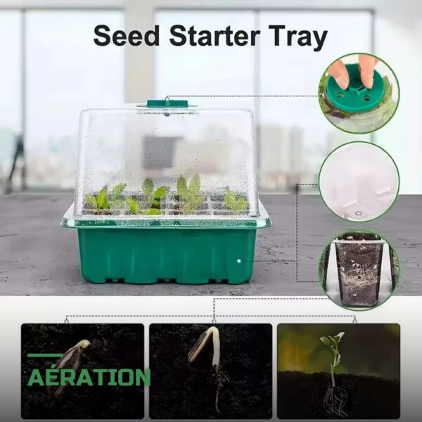 Kit de Germination Mini-Serre avec Dôme et Plateau de Semis