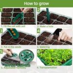 Kit de Germination Mini-Serre avec Dôme et Plateau de Semis