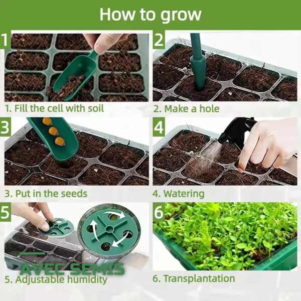 Kit de Germination Mini-Serre avec Dôme et Plateau de Semis