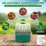 Kit de Germination Mini-Serre avec Dôme et Plateau de Semis