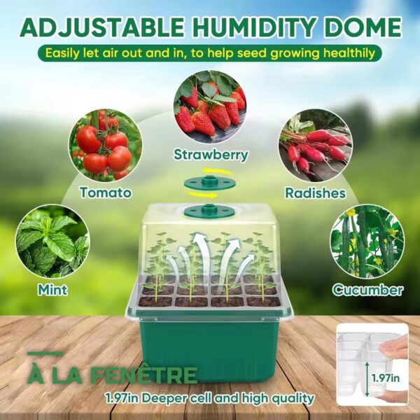 Kit de Germination Mini-Serre avec Dôme et Plateau de Semis
