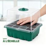 Kit de Germination Mini-Serre avec Dôme et Plateau de Semis