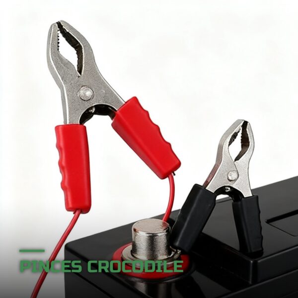 Kit Solaire de Maintien 12V
