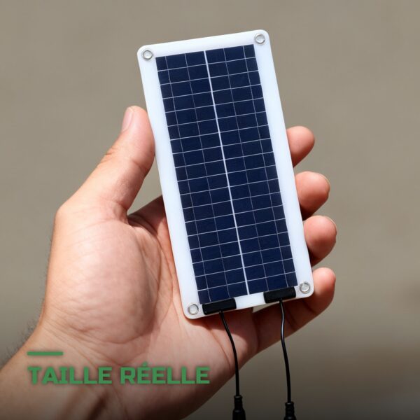 Kit Solaire de Maintien 12V