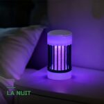 Lampe Anti-Moustiques UV Électrique