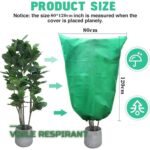 Lot de 2 Housses d'Hivernage Anti-Gel pour Plantes et Arbustes