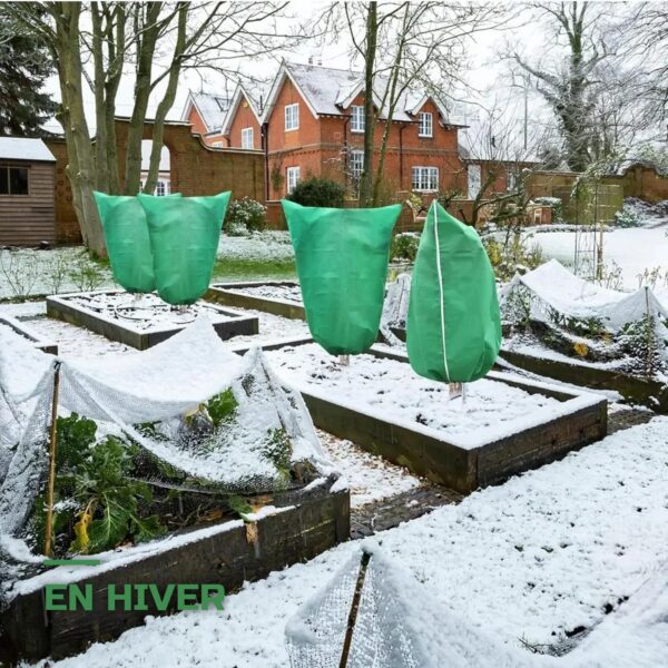 Lot de 2 Housses d'Hivernage Anti-Gel pour Plantes et Arbustes