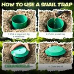 Lot de Pièges à Limaces Réutilisables pour Potager