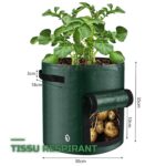 Lot de Sacs de Culture en Tissu avec Fenêtre pour Légumes