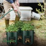 Lot de Sacs de Culture en Tissu avec Fenêtre pour Légumes