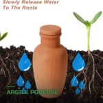 Oyas d'Arrosage Automatique en Terre Cuite pour Plantes