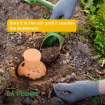 Oyas d'Arrosage Automatique en Terre Cuite pour Plantes