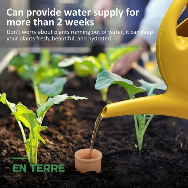 Oyas d'Arrosage Automatique en Terre Cuite pour Plantes