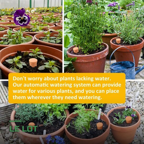 Oyas d'Arrosage Automatique en Terre Cuite pour Plantes