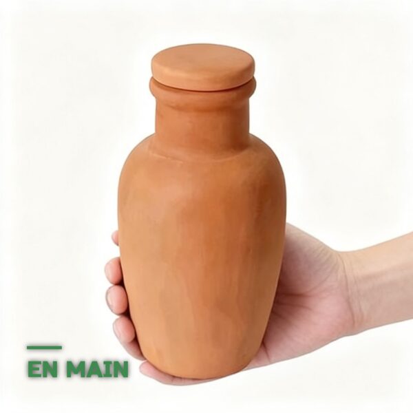 Oyas d'Arrosage Automatique en Terre Cuite pour Plantes
