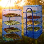 Panier de Séchage Suspendu 4 Niveaux pour Herbes & Plantes